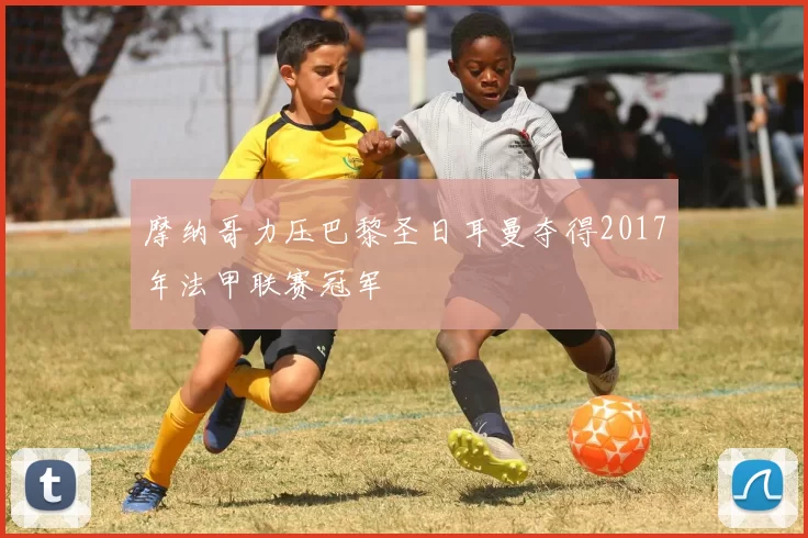 摩纳哥力压巴黎圣日耳曼夺得2017年法甲联赛冠军